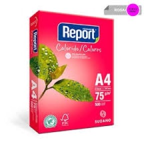 SULFITE A4 REPORT COLOR ROSA 500 FLS