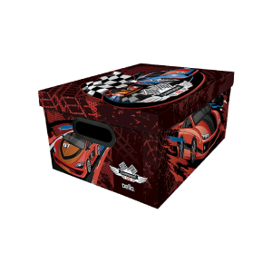 CAIXA ORGANIZADORA MEDIA DELLO CARROS KIDS