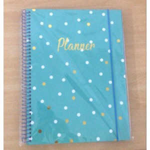 PLANNER ESPIRAL P/ANOTAÇÕES